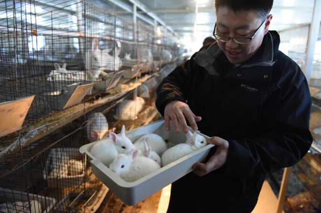荣钰泓在泊里村的兔场里