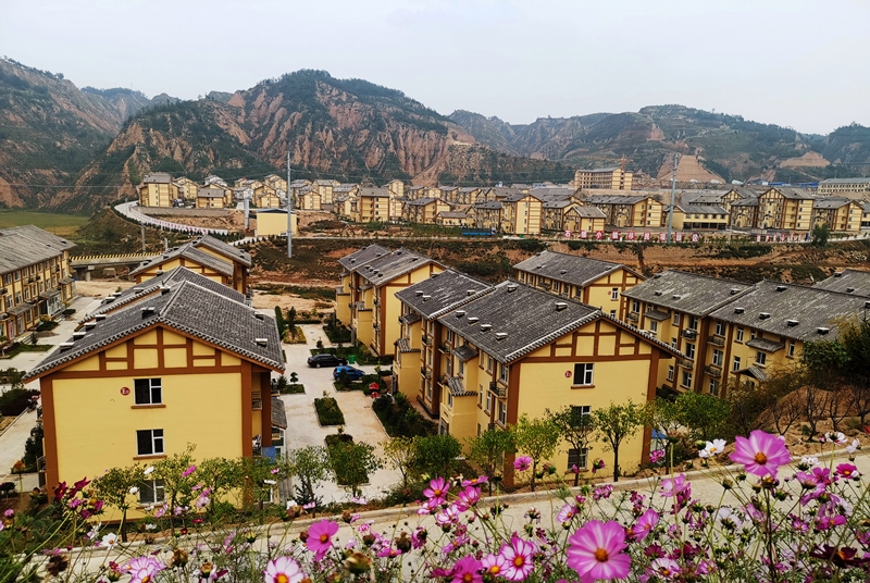 石楼小镇社区。陈贞 摄